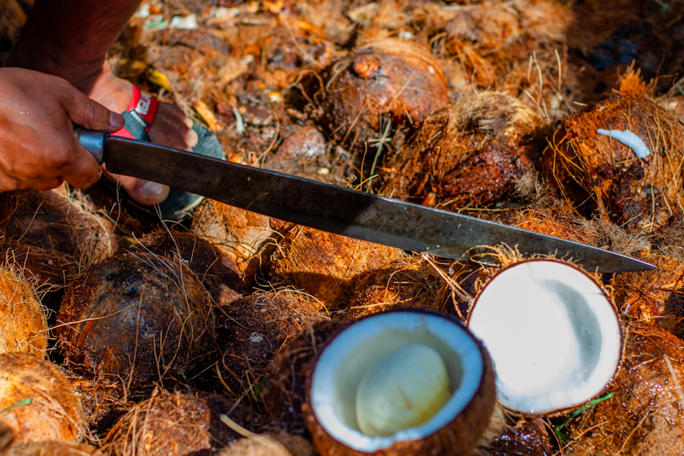 Coconut Oil
